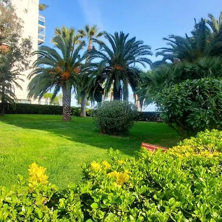La French Riviera Vue Mer § Piscine